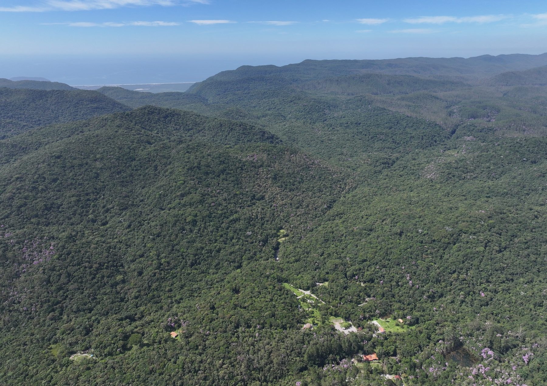 Mata Atlântica vista do alto