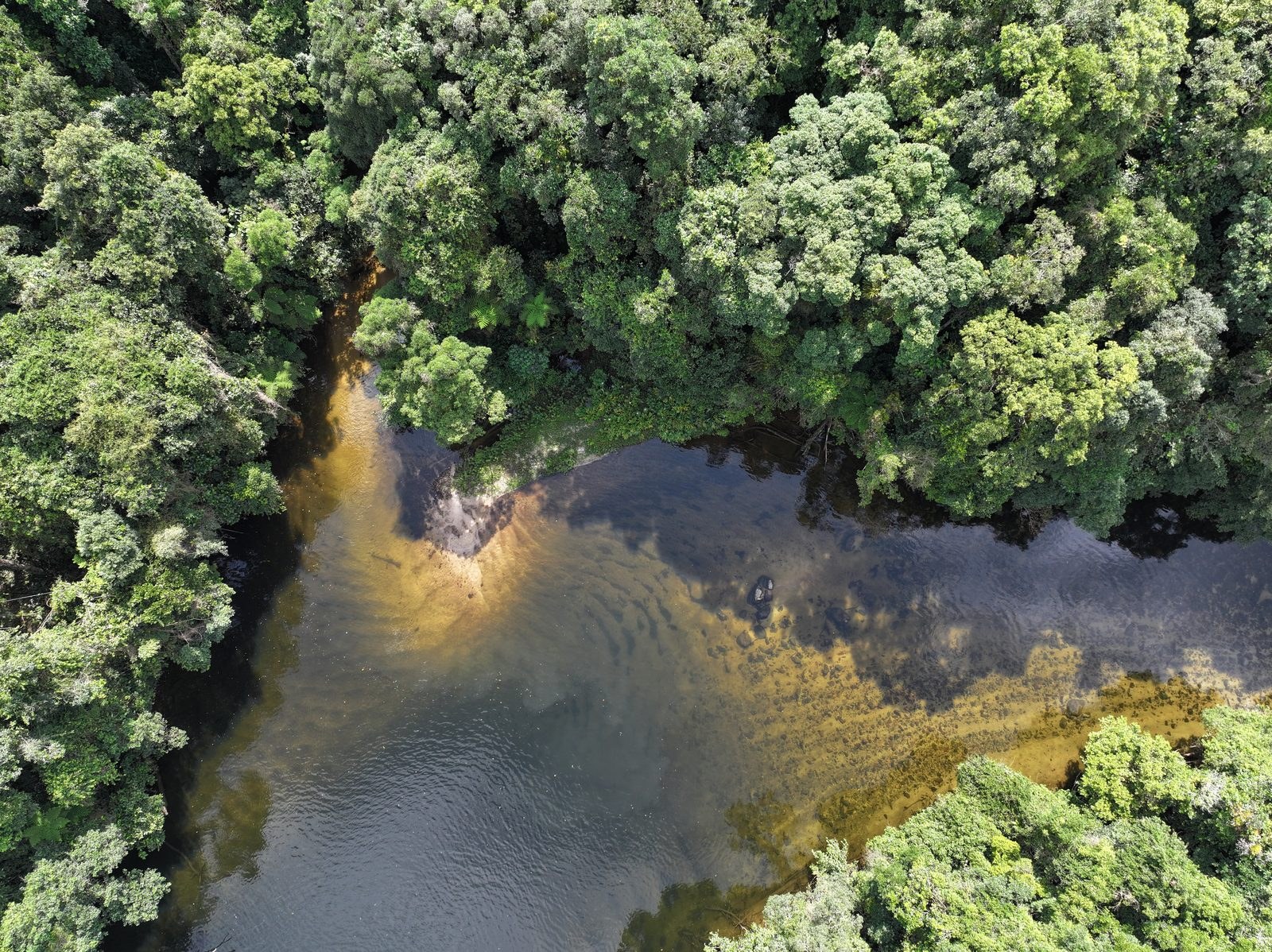 Rio Itatinga atravessando a mata